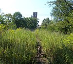 Erie-Lackawanna embankment dog Passaic Av jeh